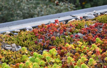 the cost of Tal Sarn green roof installation
