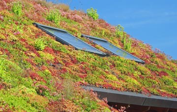 Tal Sarn living roof systems