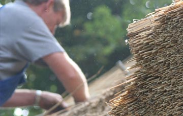 professional Tal Sarn thatchers